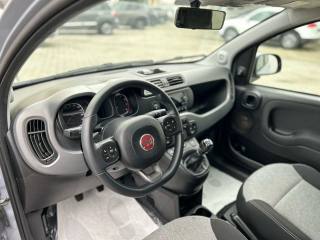 FIAT Panda usata, con Chiusura centralizzata