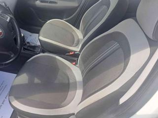 FIAT Punto usata 22