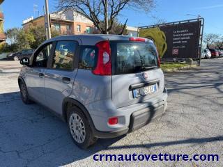 FIAT Panda usata, con Antifurto
