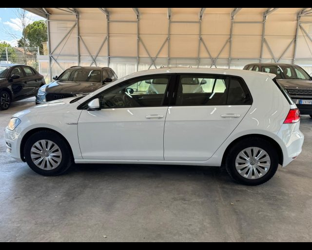 VOLKSWAGEN Golf usata, con Airbag laterali