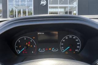FORD Transit usata, con Specchietti laterali elettrici