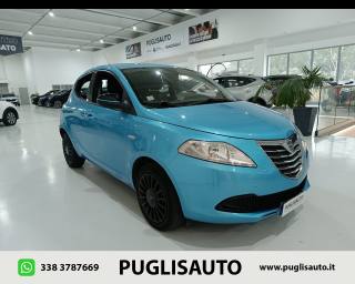 LANCIA Ypsilon 1.2 69 CV 5 porte Elefantino