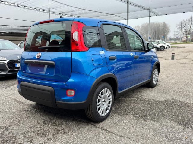 FIAT Panda usata, con Antifurto