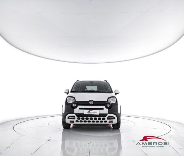 FIAT Panda usata 4