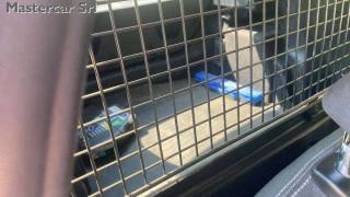 FORD Fiesta usata, con Chiusura centralizzata