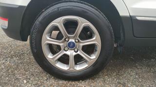 FORD EcoSport usata, con Bracciolo