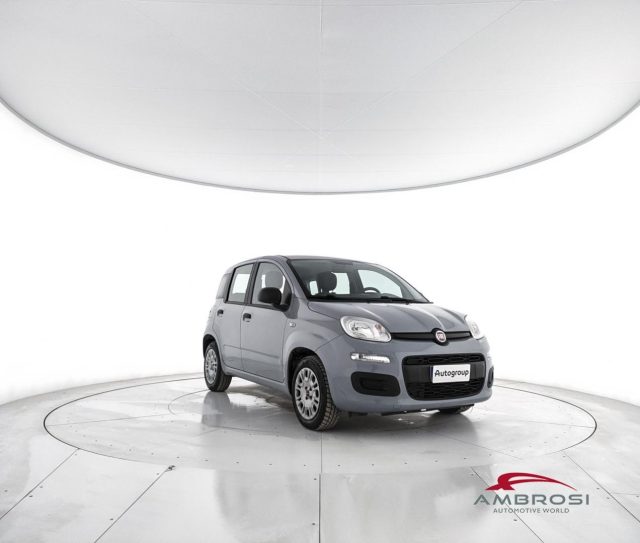 FIAT Panda usata 1