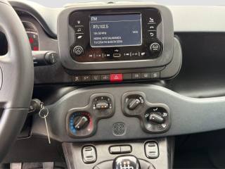 FIAT Panda usata 15