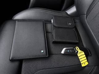 BMW X3 usata, con ESP