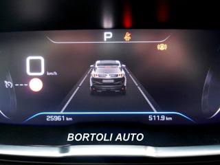 PEUGEOT 3008 usata, con Cronologia tagliandi