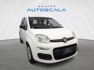 FIAT New Panda usata, con Autoradio