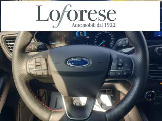 FORD Focus usata, con Servosterzo