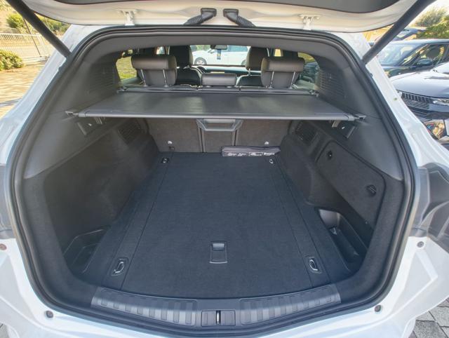 ALFA ROMEO Stelvio usata, con Fendinebbia