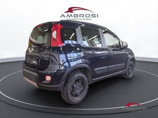 FIAT Panda usata 2