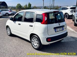 FIAT Panda usata, con Alzacristalli elettrici