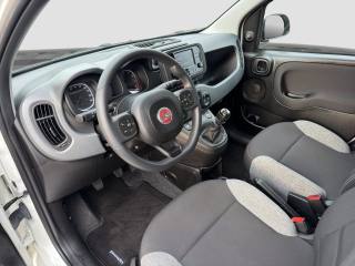 FIAT Panda usata 8