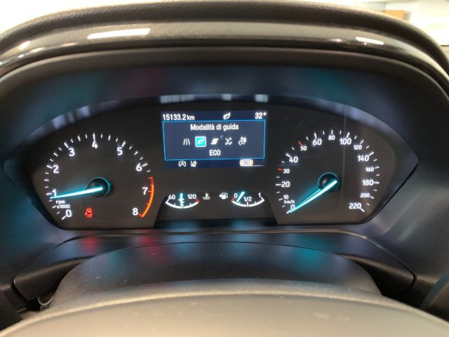 FORD Puma usata, con Cronologia tagliandi