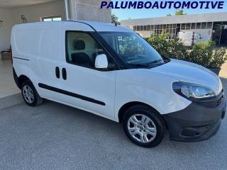 FIAT Doblo usata, con Chiusura centralizzata