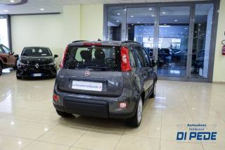 FIAT Panda usata, con Autoradio