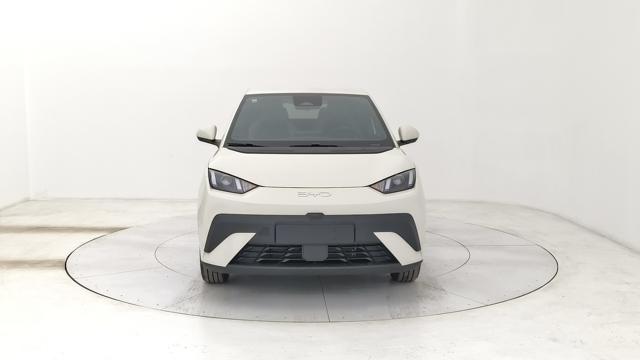 BYD Dolphin Surf usata, con Chiusura centralizzata