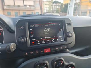 FIAT Panda Cross usata, con Vetri oscurati