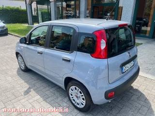 FIAT Panda usata, con Alzacristalli elettrici