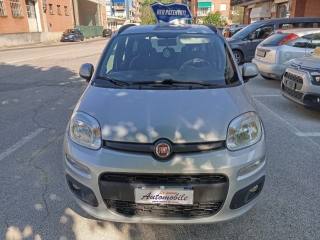 FIAT Panda usata, con Alzacristalli elettrici
