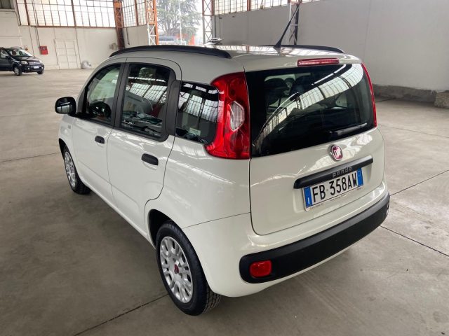 FIAT Panda usata 7