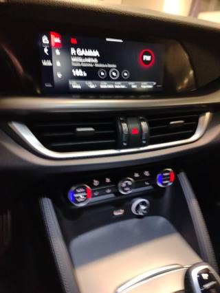 ALFA ROMEO Stelvio usata 31