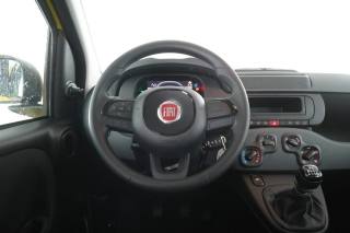FIAT Panda usata 12