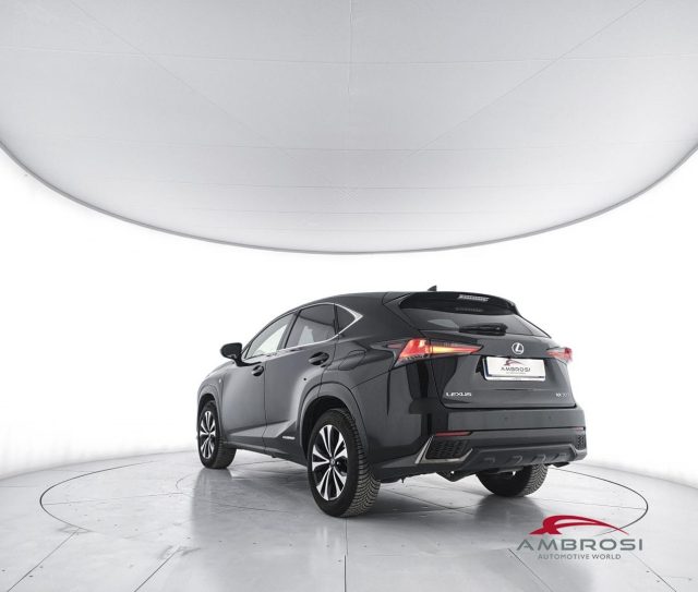 LEXUS NX 300h usata 3