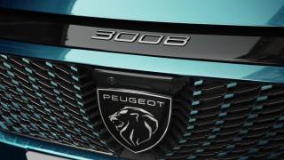 PEUGEOT 3008 usata, con Climatizzatore
