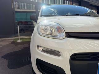 FIAT Panda usata, con Airbag testa
