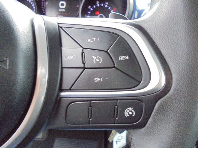 FIAT 500L usata 41