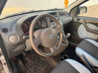 FIAT Panda usata 12