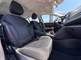 RENAULT Megane usata, con Filtro antiparticolato