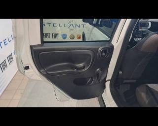 FIAT New Panda usata, con Kit fumatori