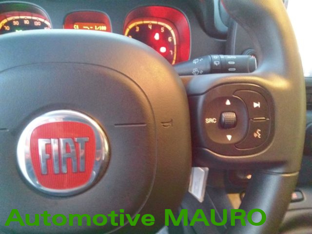 FIAT Panda Cross usata, con Controllo trazione