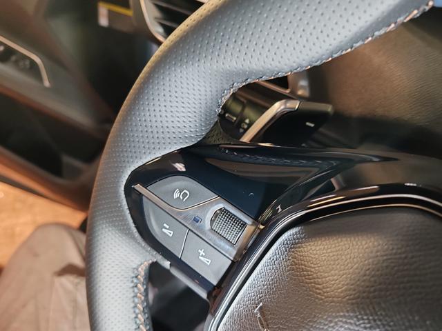 PEUGEOT 3008 usata, con Cruise Control