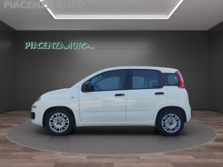 FIAT Panda usata, con Airbag testa