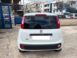 FIAT Panda usata 6