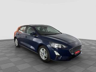 FORD Focus usata 6
