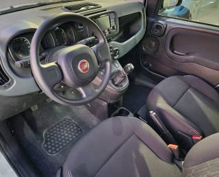 FIAT Panda usata, con Controllo trazione