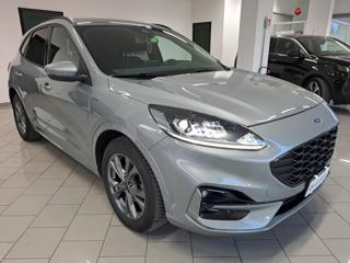 FORD Kuga 1.5 EcoBlue 120 CV aut. 2WD ST-Line