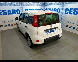 FIAT New Panda usata, con Alzacristalli elettrici