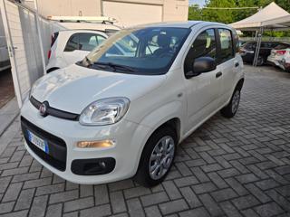 FIAT Panda usata, con Airbag Passeggero