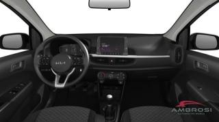 KIA Picanto usata 8