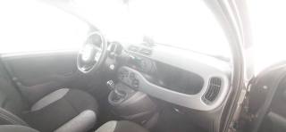FIAT Panda usata 46