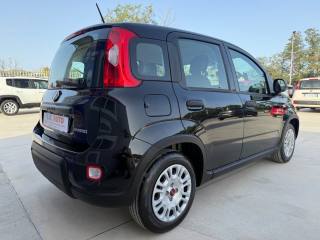 FIAT Panda usata, con Climatizzatore
