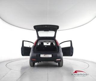 FIAT Punto usata 6